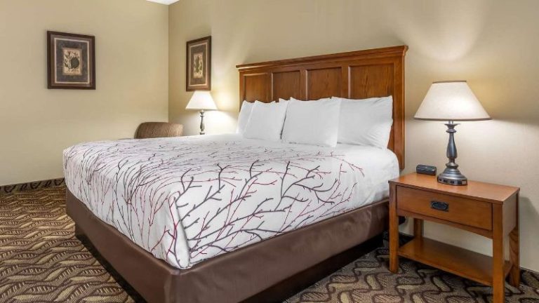 Best Western Lodge At River’s Edge