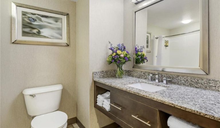 Best Western Plus River Escape Inn & Suites