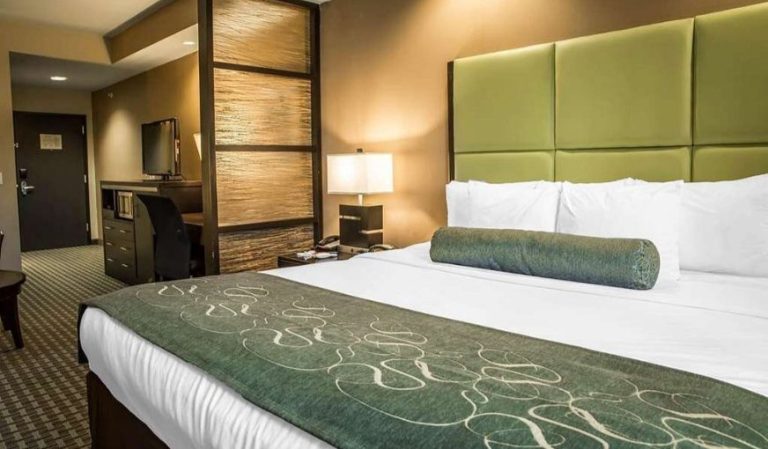 Comfort Suites New Bern
