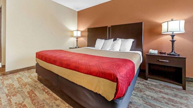 Econo Lodge Black Hills