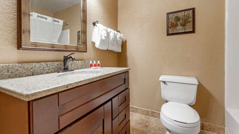 Econo Lodge Black Hills