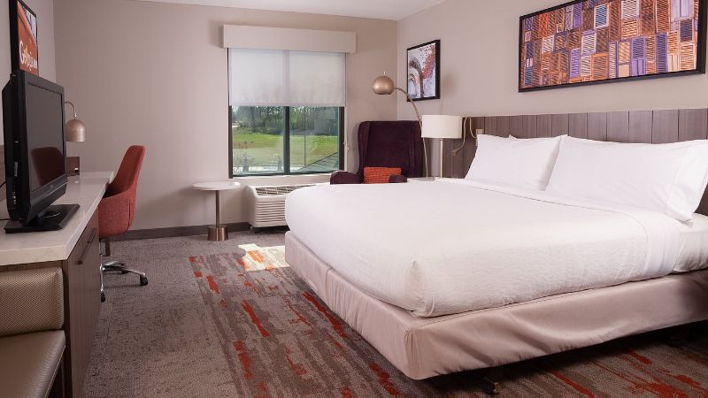 Hilton Garden Inn Atlanta Airport / Millenium Center, room with private jacuzzi, photo 2