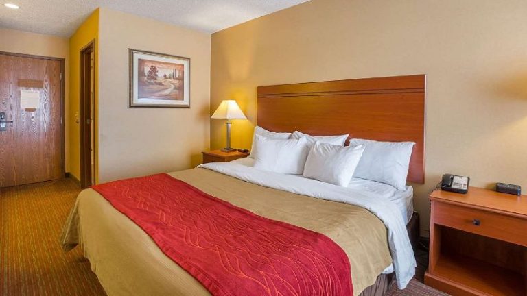 Quality Inn York