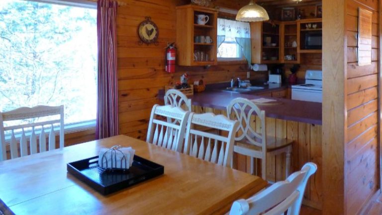 Riverview Cabins and Canoes