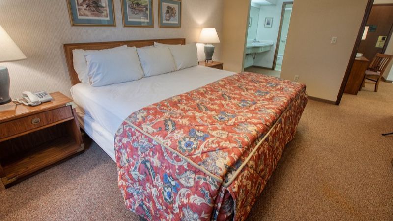 Sophie Station Suites, room with private jacuzzi, photo 3