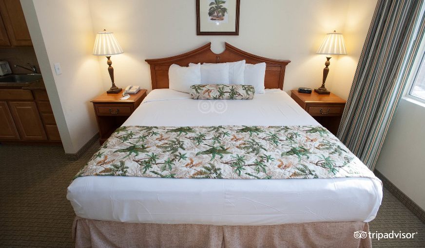 Tahiti Resort, room with private jacuzzi, photo 4