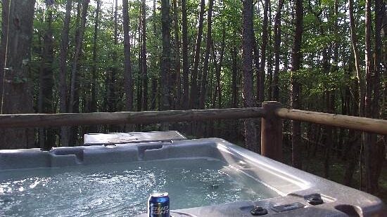 Blue Rose Cabins, cabin with a private hot tub