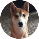 Halo Bhasker profile picture