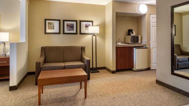Comfort Inn & Suites Suwanee – Sugarloaf, room with private jacuzzi, photo 5