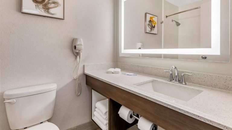 Comfort Inn & Suites- Clemson University Area