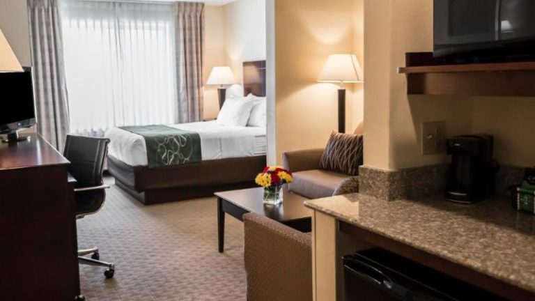 Comfort Suites University Area Notre Dame-South Bend