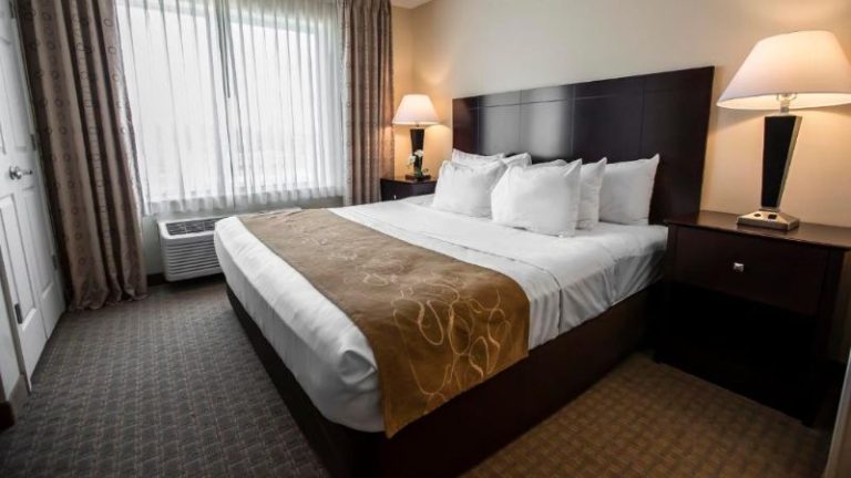 Comfort Suites University Area Notre Dame-South Bend