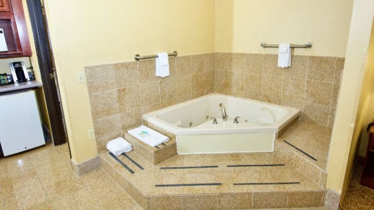Holiday Inn Express Hotel & Suites Fenton