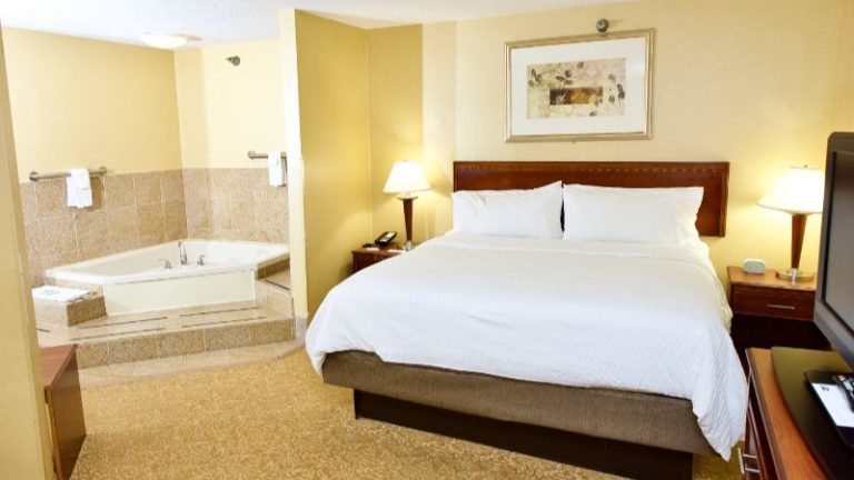 Holiday Inn Express Hotel & Suites Fenton