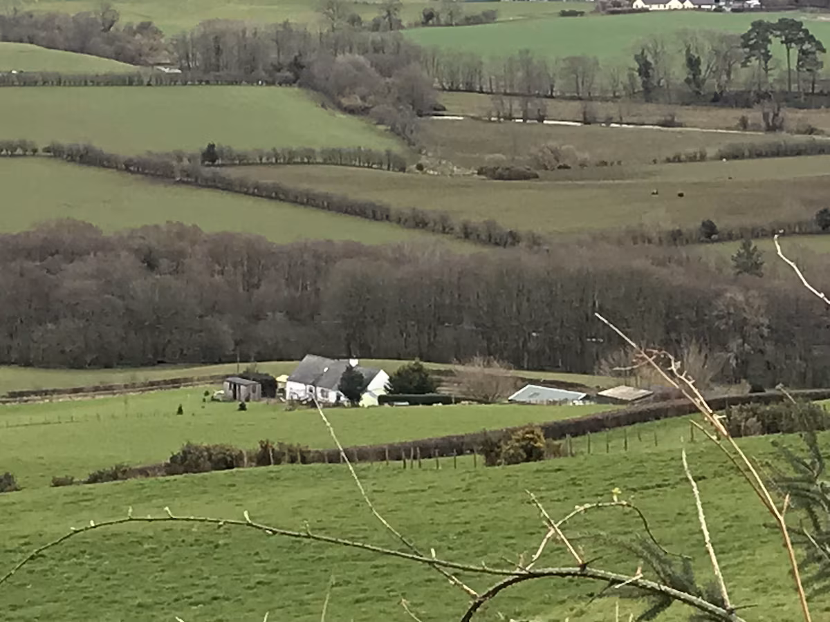 Stunning Shepherds Hut, cabin with a private hot tub, photo 6