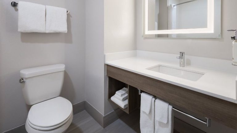 Holiday Inn Express & Suites Leesburg – Historic District
