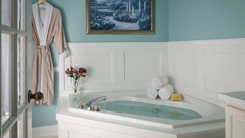 Pet-Friendly Jacuzzi Hotels jacuzzi hotel room