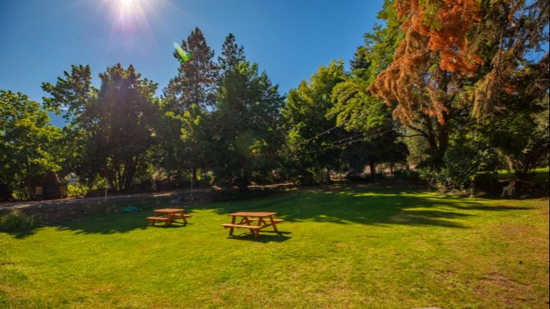 Evergreen Inn, room with private jacuzzi, photo 7