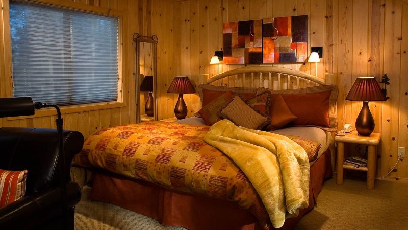 Mountain Home Lodge, room with private jacuzzi, photo 2