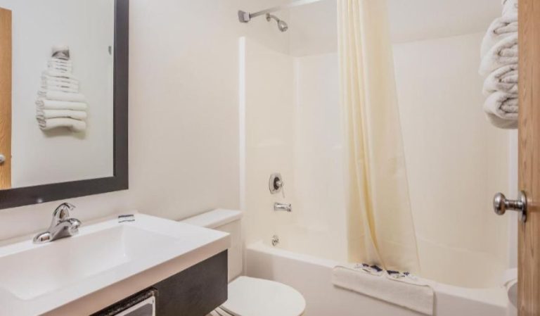 Americas Best Value Inn Birch Run