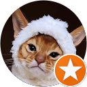 Officer Kitten profile picture