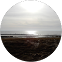 Otto van der Gronden profile picture