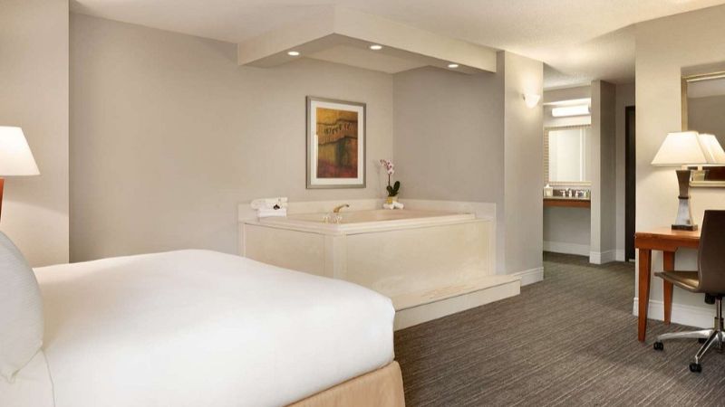 DoubleTree by Hilton Hotel Minneapolis – Park Place, room with private jacuzzi, photo 3