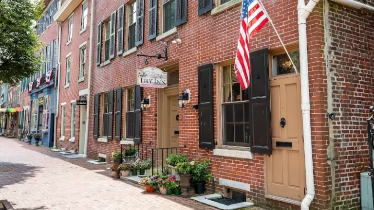 Lily Inn