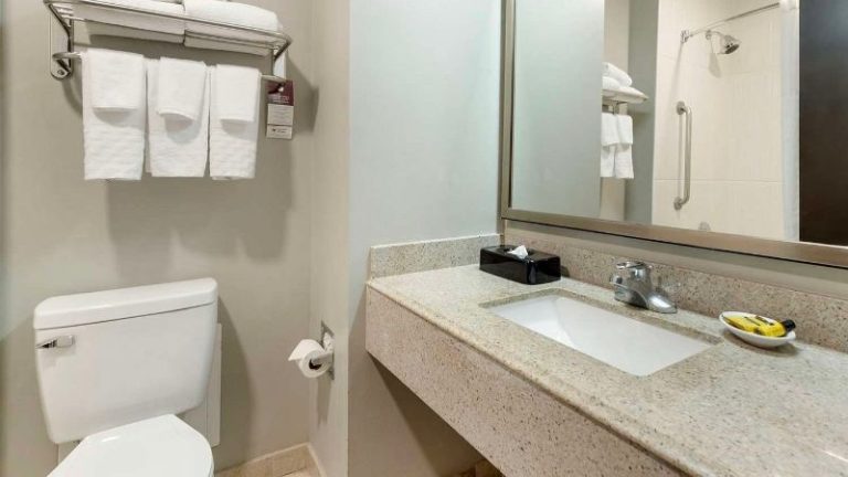 Best Western Plus Edinburg Inn & Suites