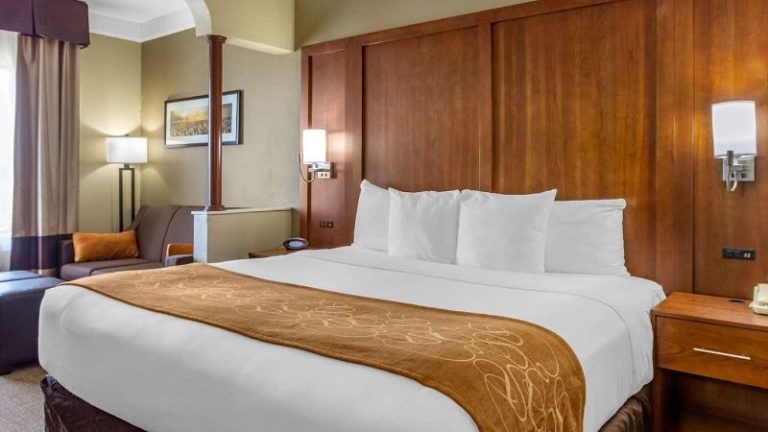 Comfort Suites Plainview