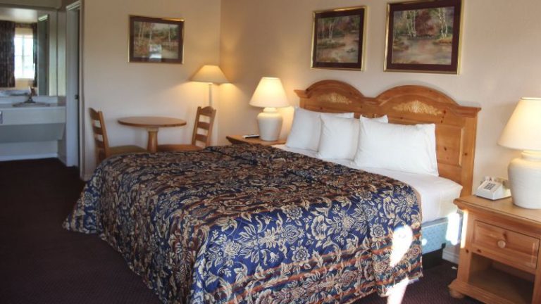 Lakeside Inn & Suites By Oyo Mathis I 37