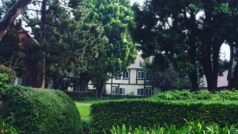 Disneyland Family home
