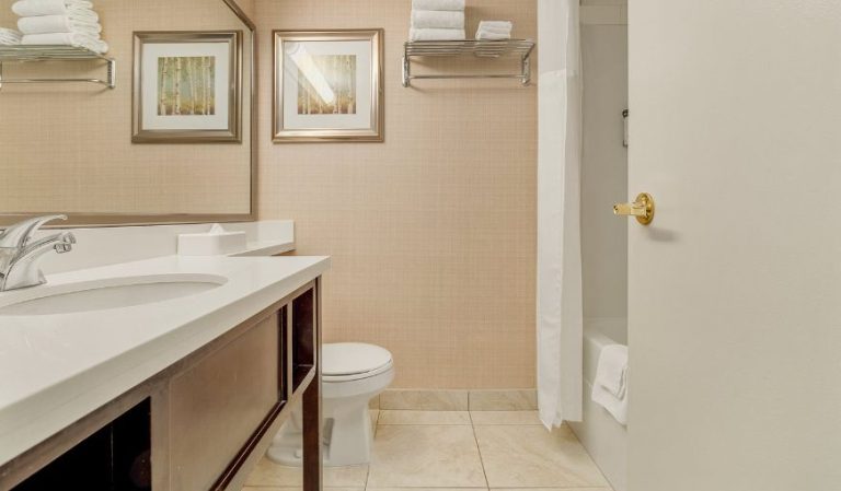 Holiday Inn Conference Ctr Edmonton South By IHG