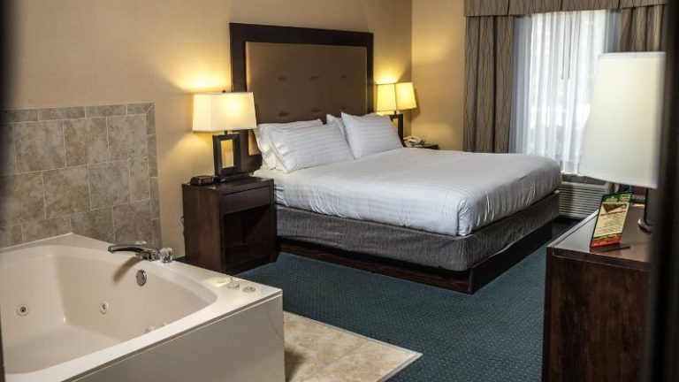 Holiday Inn Express & Suites Detroit-Novi By IHG