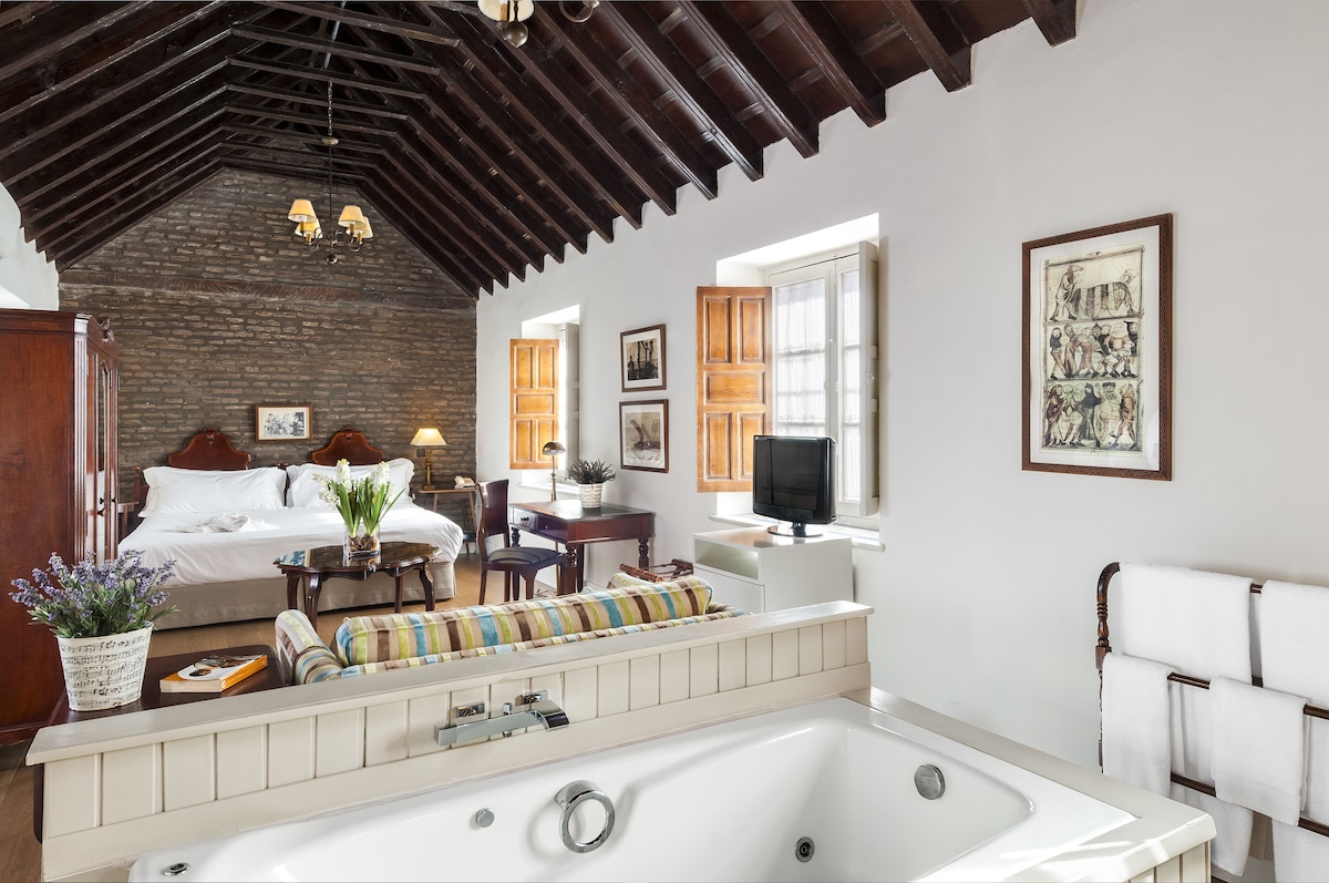 Hotel Amadeus Sevilla, habitación con jacuzzi privado