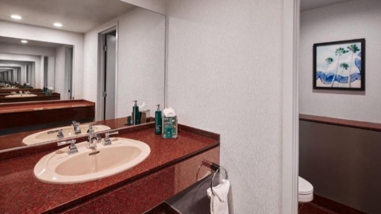Hotel Fera Anaheim, A Doubletree By Hilton