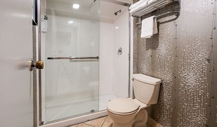 Monte Carlo Inns – Toronto West Suites, room with private jacuzzi, photo 6