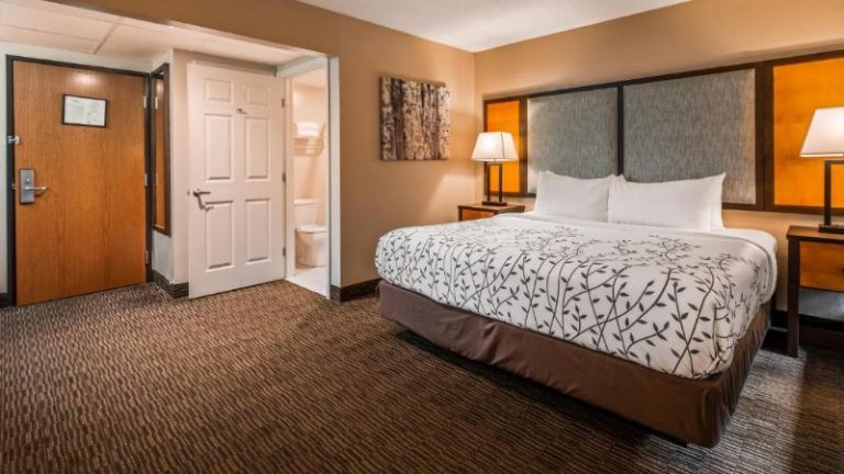 Americinn By Wyndham Birch Run/frankenmuth