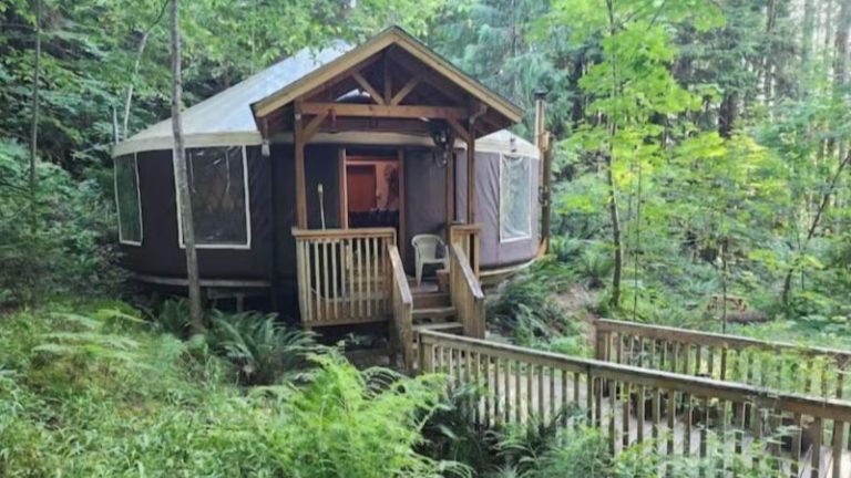 Relaxing FallCreek Vacation Yurt