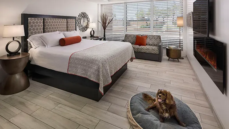 The Cliffs Hotel and Spa, photo 4