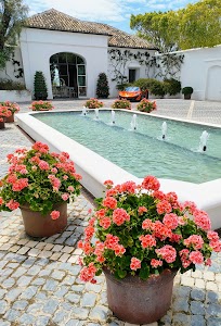 Finca Cortesin place picture