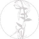 Bar Els Desmais profile picture