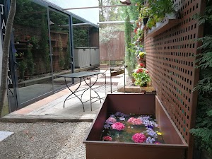 Hotel Boutique Pinar by Bossh! Hotels place picture