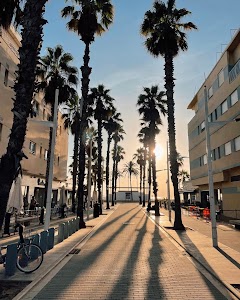 Hotel Boutique Sabbia by Gabbeach place picture