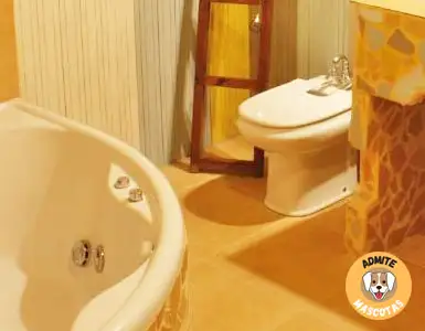Colores de Buendía, habitación con jacuzzi privado