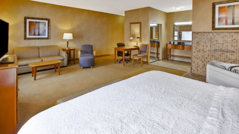 Hampton Inn Detroit/Utica – Shelby Township, room with private jacuzzi, photo 2