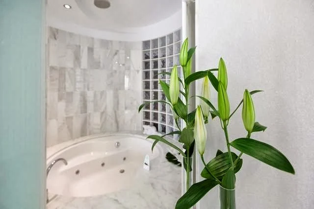 Hotel MasMonzón, habitación con jacuzzi privado