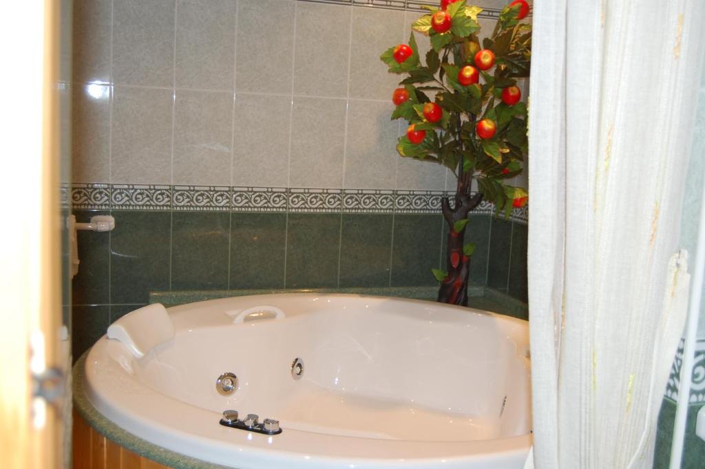 Hotel Restaurante Flor De La Mancha, habitación con jacuzzi privado