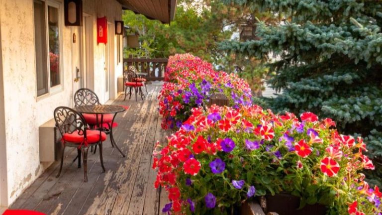 Bavarian Inn, Black Hills