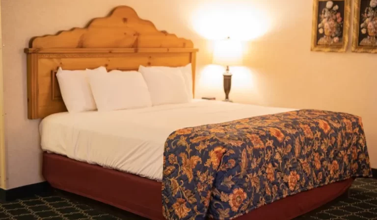 Bavarian Inn Lodge